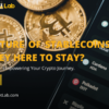 The Future of Stablecoins: Are They Here to Stay?